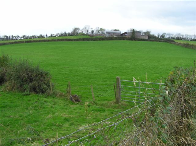 File:Drumgold Townland - geograph.org.uk - 600426.jpg