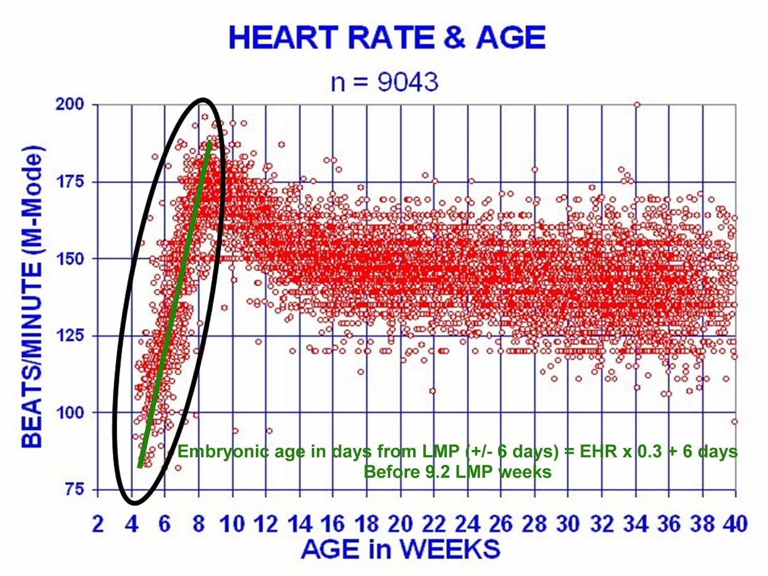 Fetal Heart Beat Chart