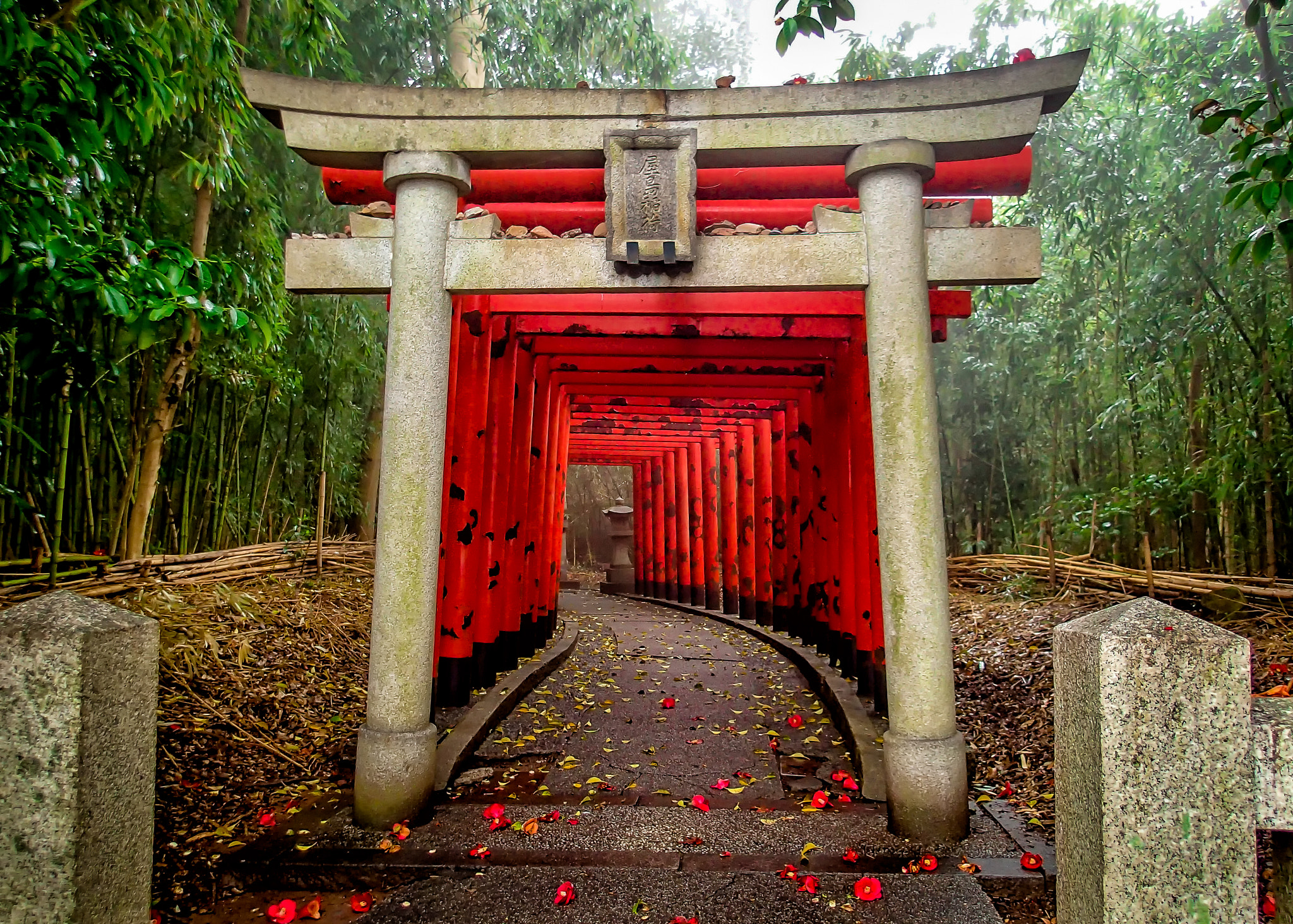 shinto gateway