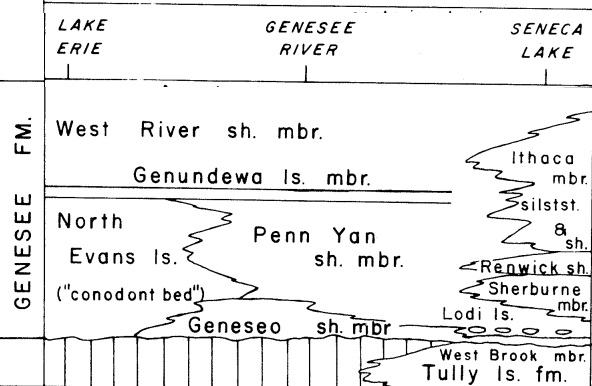 General Stratigraphic Column of Genesee Formation in NY State. Genesee Formation Members NY State.jpg