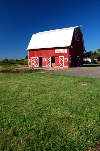 File:Grand Island Road Barn (Yamhill County, Oregon scenic images) (yamDA0044a).jpg