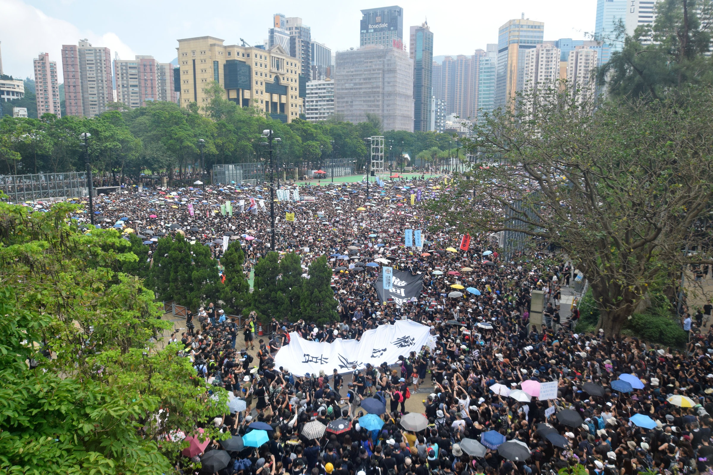 https://upload.wikimedia.org/wikipedia/commons/c/ce/Hong_Kong_Demonstration_20190616_Victoria_Park-1.jpg