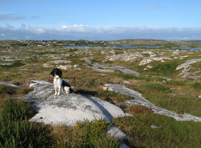 File:Hummocky terrain - geograph.org.uk - 1453519.jpg