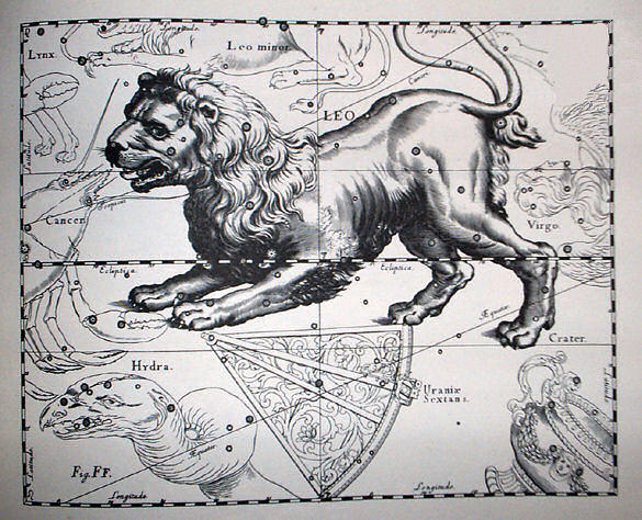 File:Johannes Hevelius - Prodromus Astronomia - Volume III "Firmamentum Sobiescianum, sive uranographia" - Tavola FF - Leo.jpg