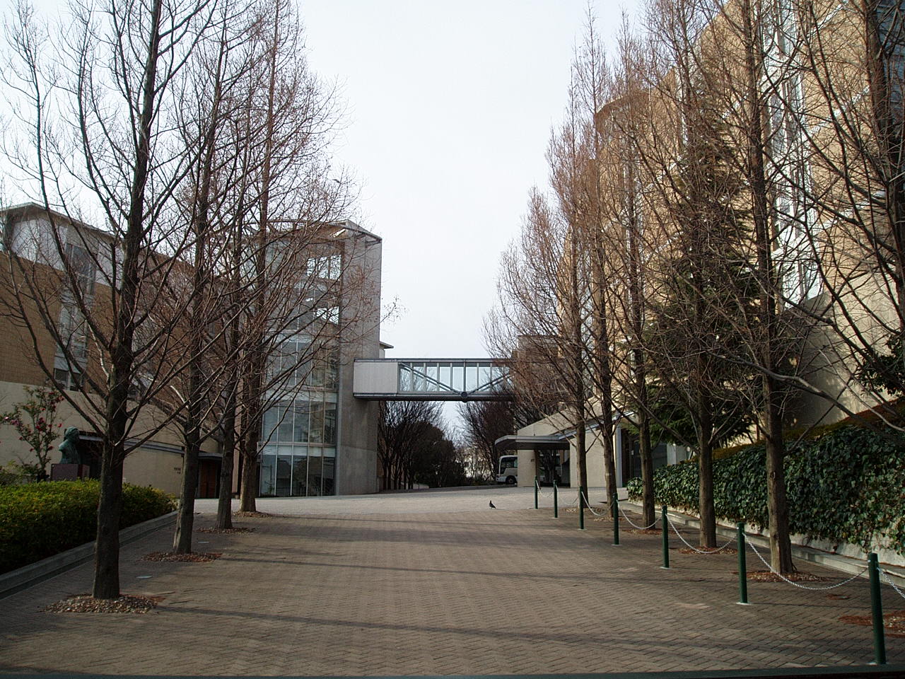 神戸常盤大学 Wikipedia