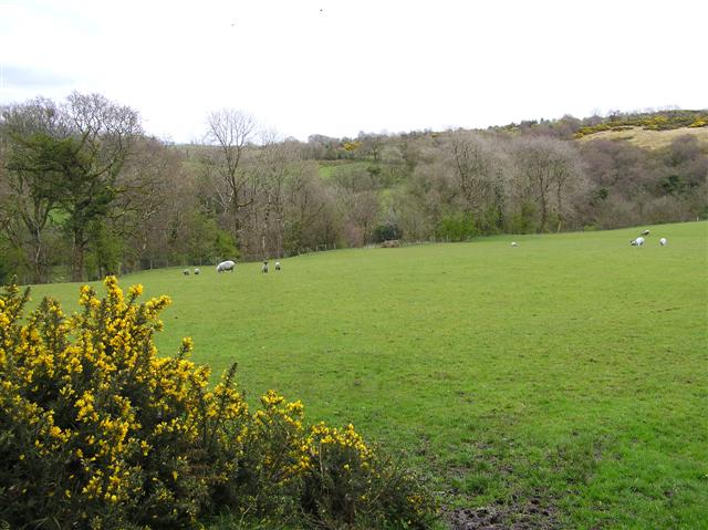 File:Magharenny Townland - geograph.org.uk - 1252498.jpg