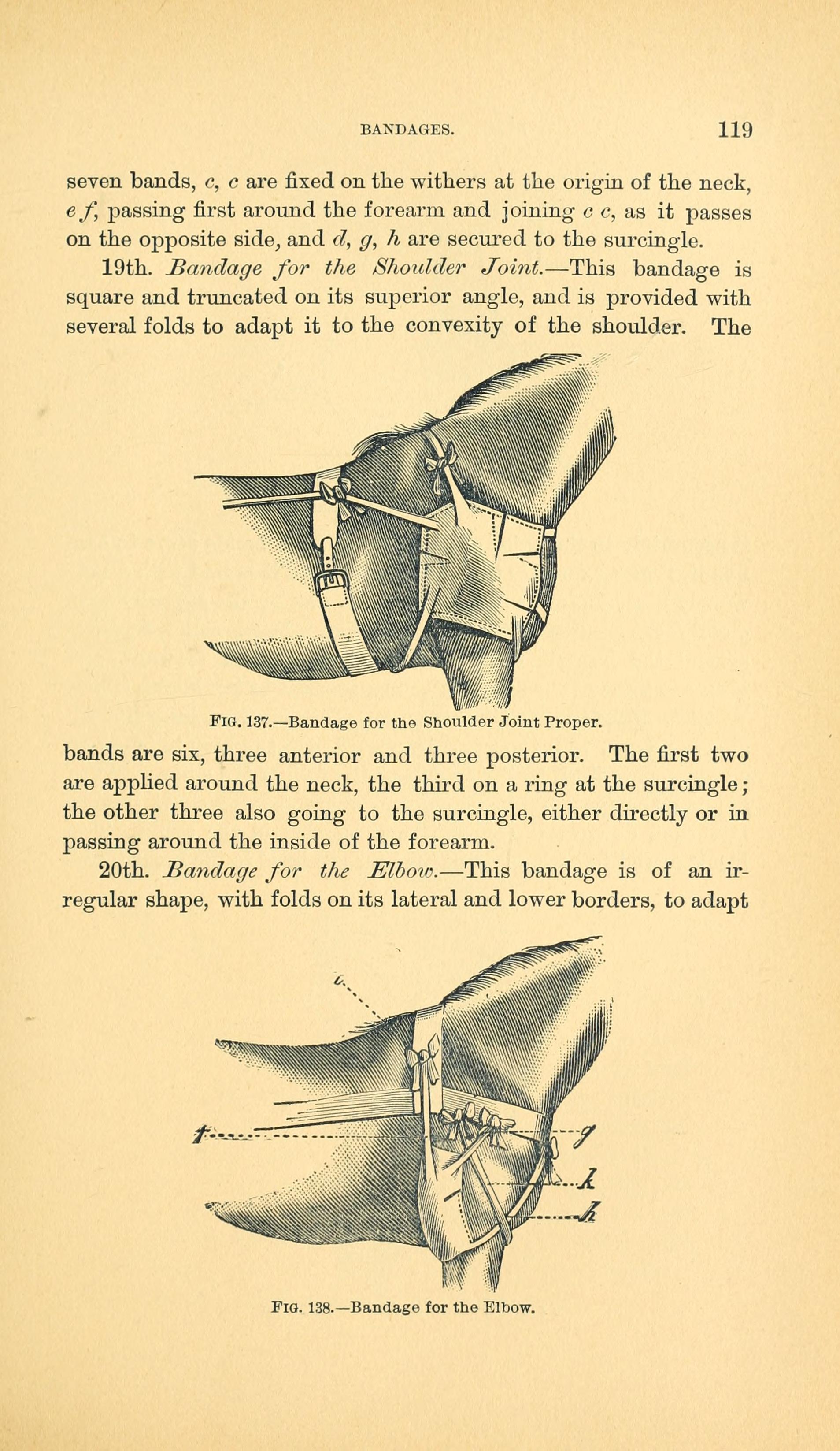 https://upload.wikimedia.org/wikipedia/commons/c/ce/Manual_of_operative_veterinary_surgery_%28Page_119%29_BHL20475479.jpg