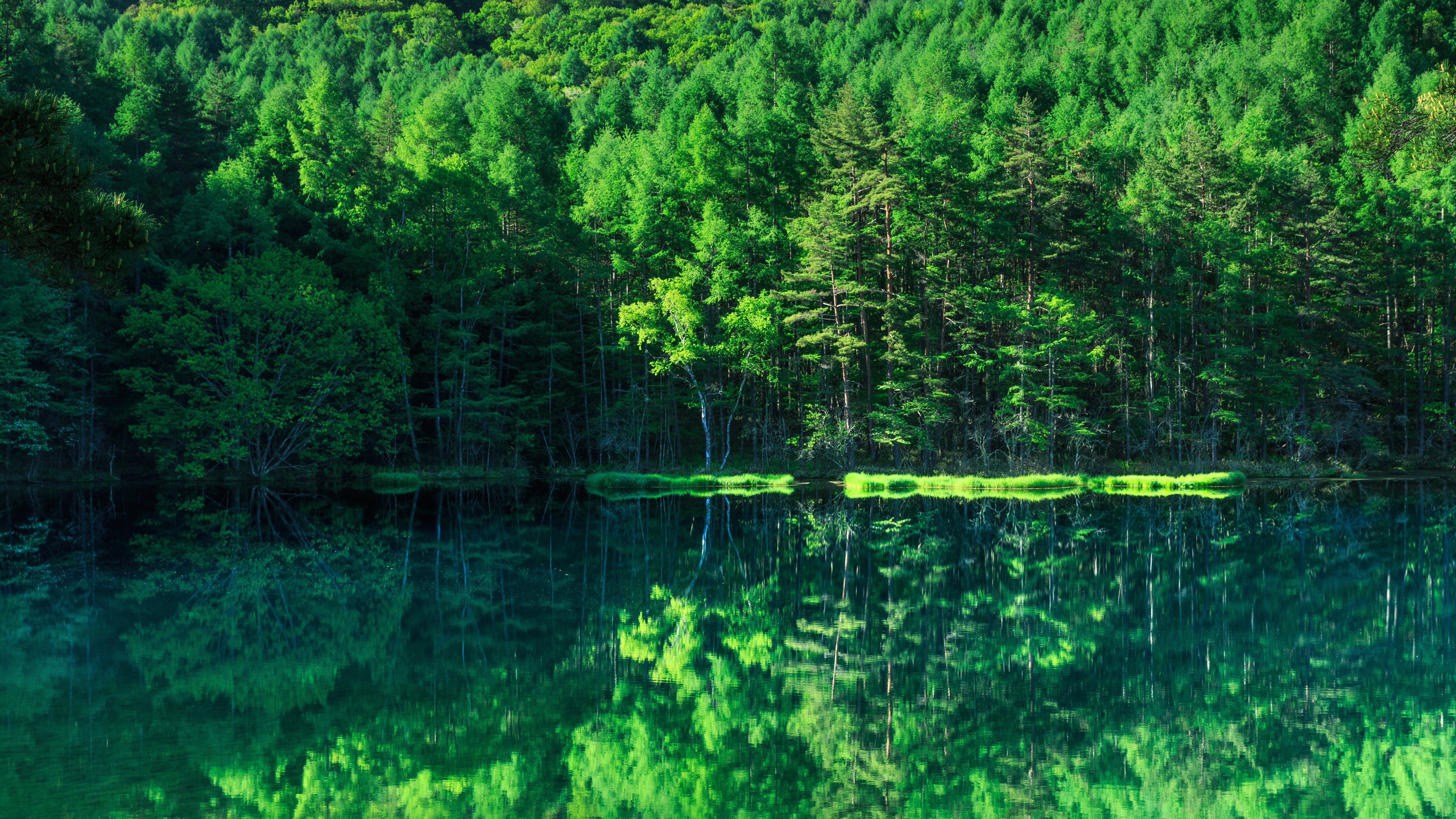 Pond in Japan stock photo. Image of deep, nature, japan - 182546932