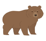 File:Orso marrone.png