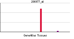 副甲狀腺素