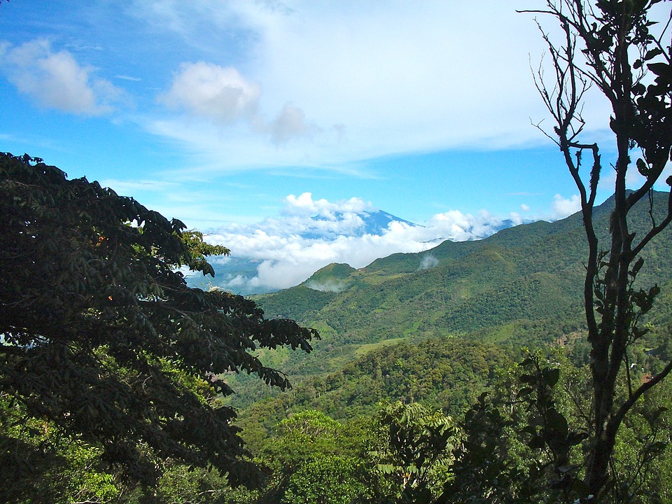 Eastern Panamanian Montane Forests Wikipedia