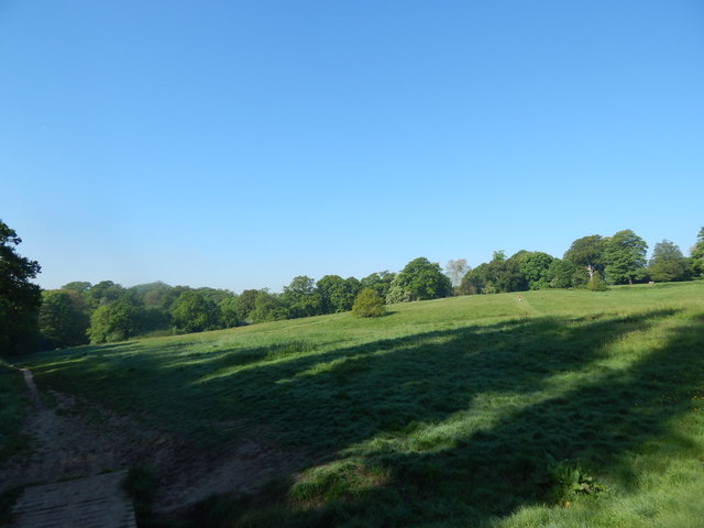 File:Path in Hampstead Heath - geograph.org.uk - 5840624.jpg