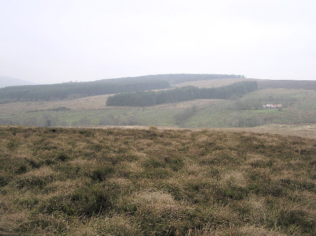 File:Pollnalaght Mountain - geograph.org.uk - 115399.jpg