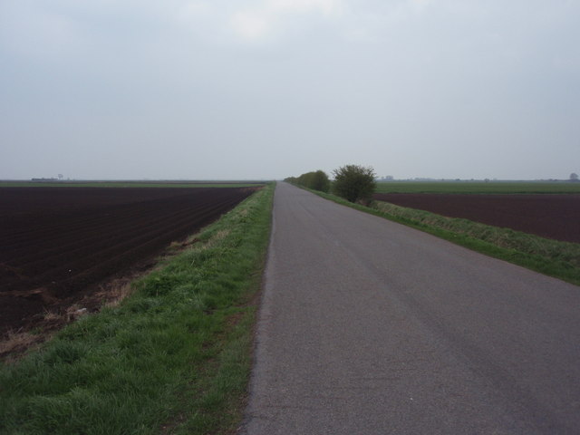 File:Renew's Drove - geograph.org.uk - 1240091.jpg