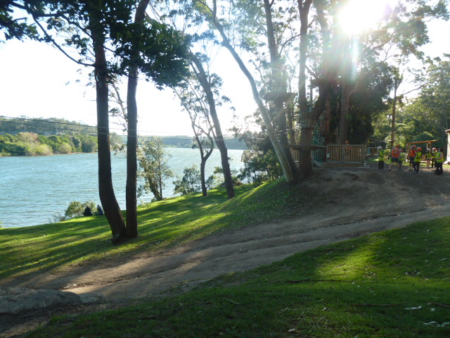 File:River with trees.jpg