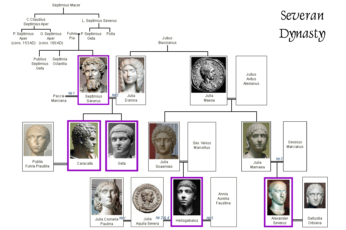 Severan dynasty family tree.jpg