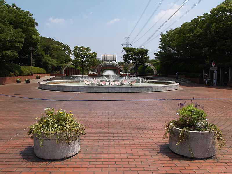 File:Sogo-recreational-park flower-garden.jpg