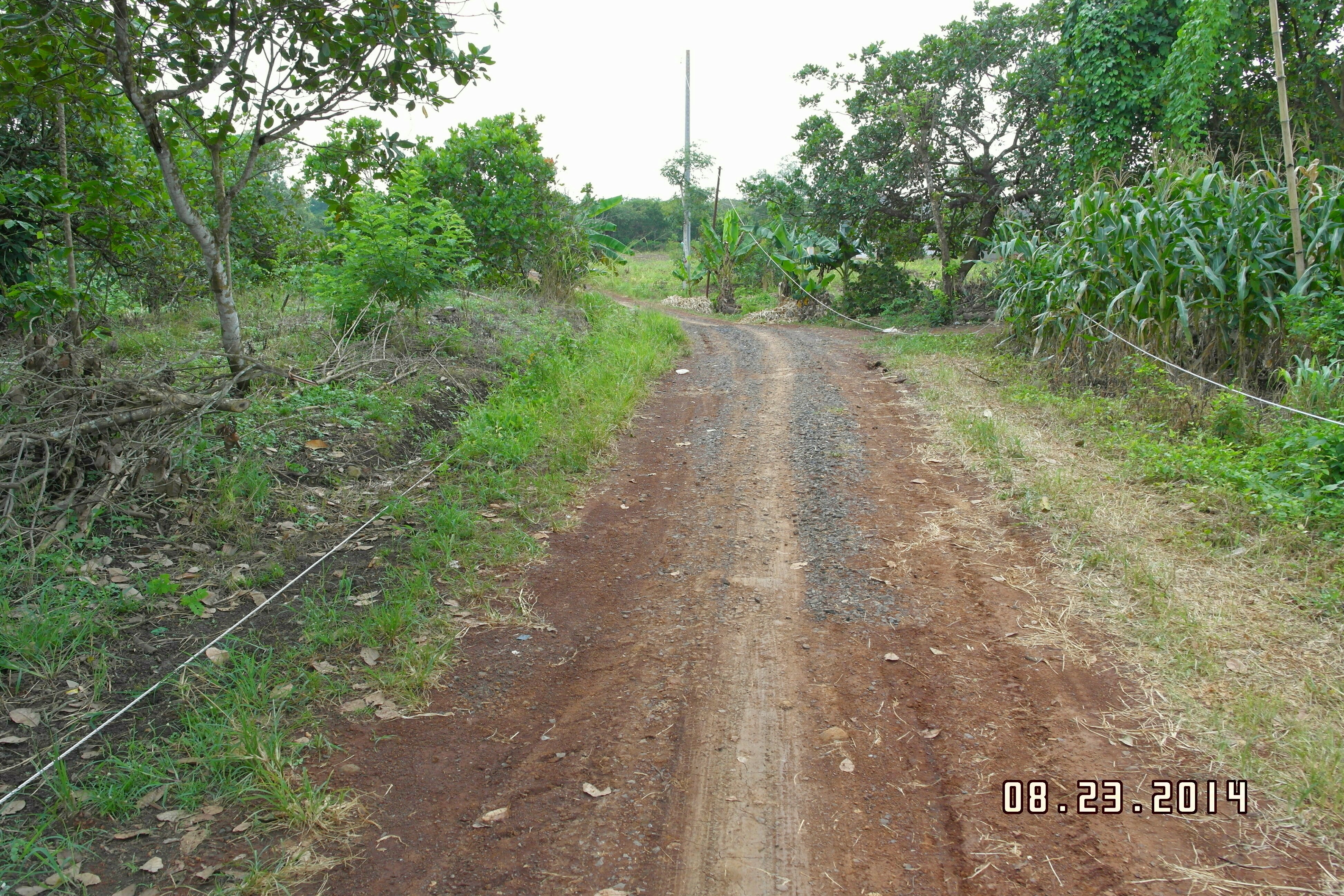 Thừa Đức, Cẩm Mỹ, Đồng Nai, Vietnam - panoramio (22)