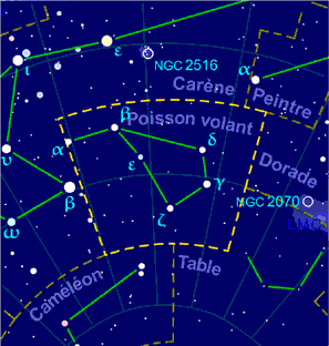 File:Volans constellation map-fr.png