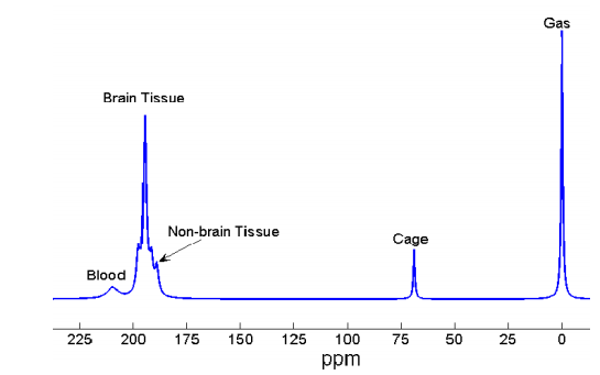 Hyperpolarization Physics Wikipedia