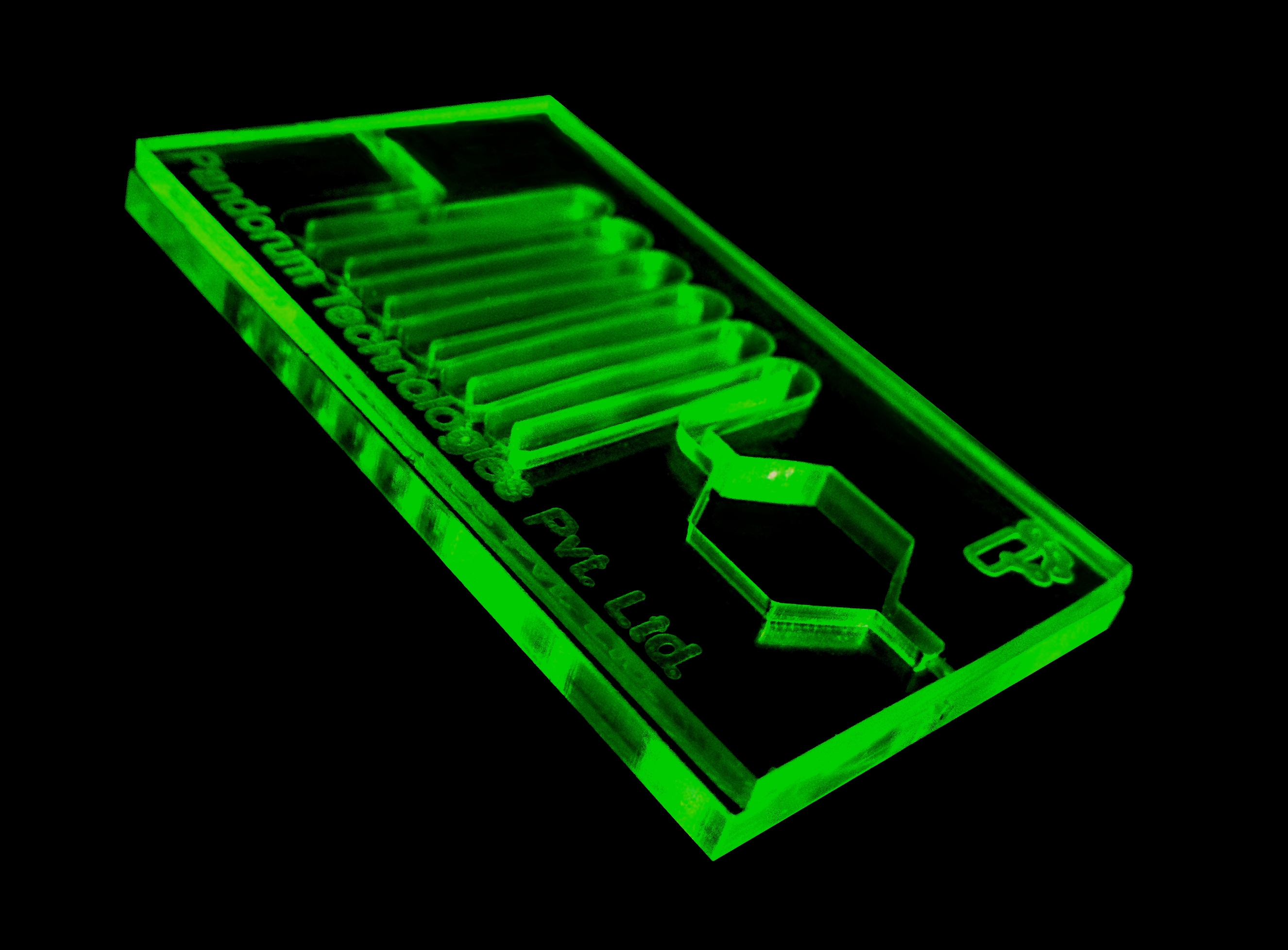 Tech detail. Cell inside a microfluidic Chip.