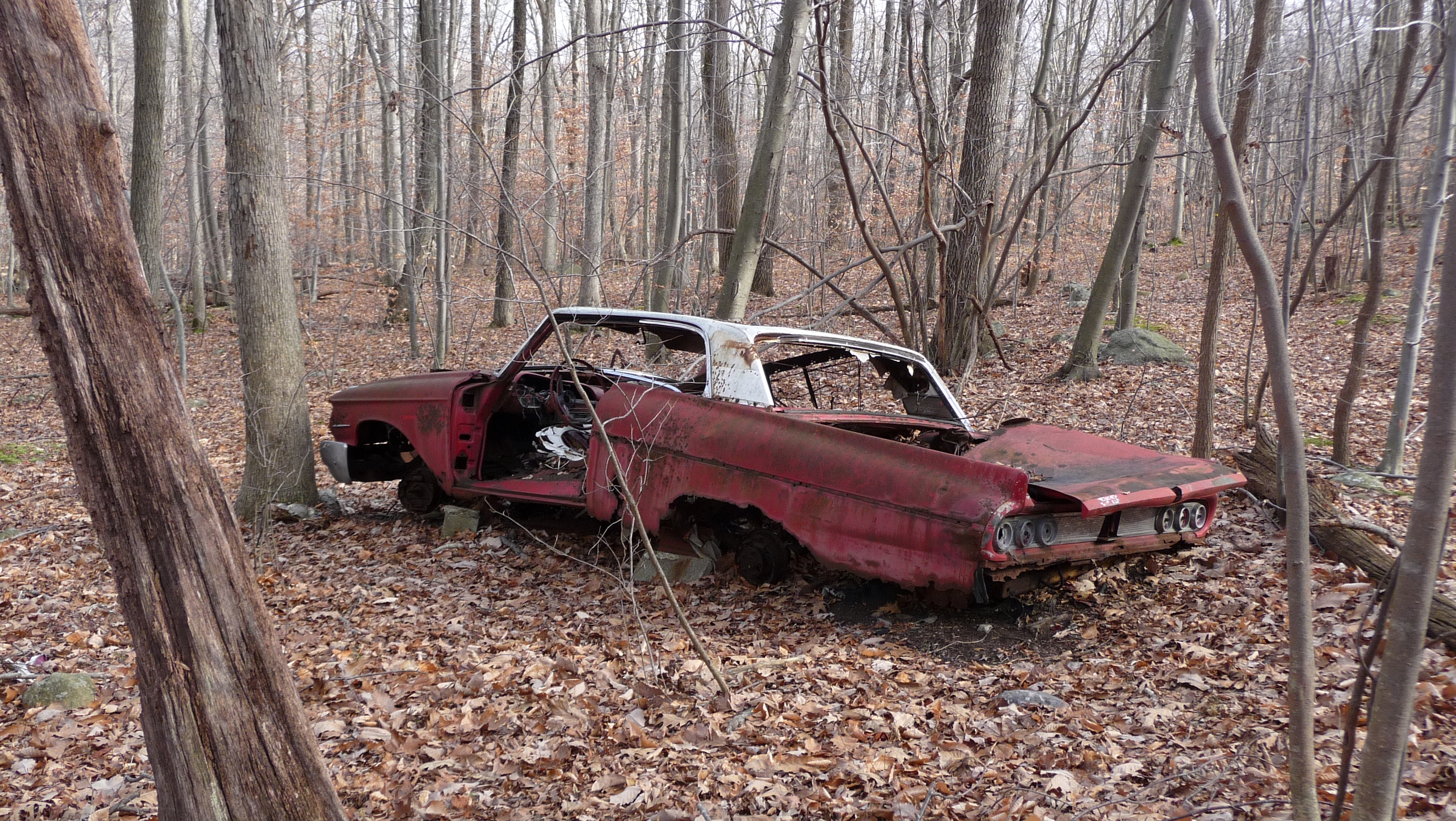 Image result for abandoned car