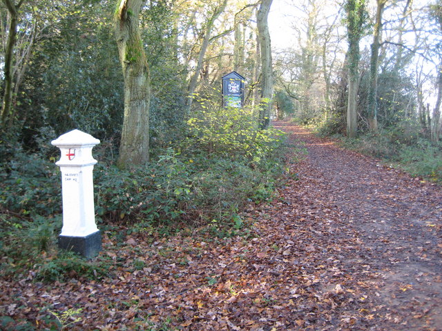 Ashtead Common, Coal Tax Post - geograph.org.uk - 1054410