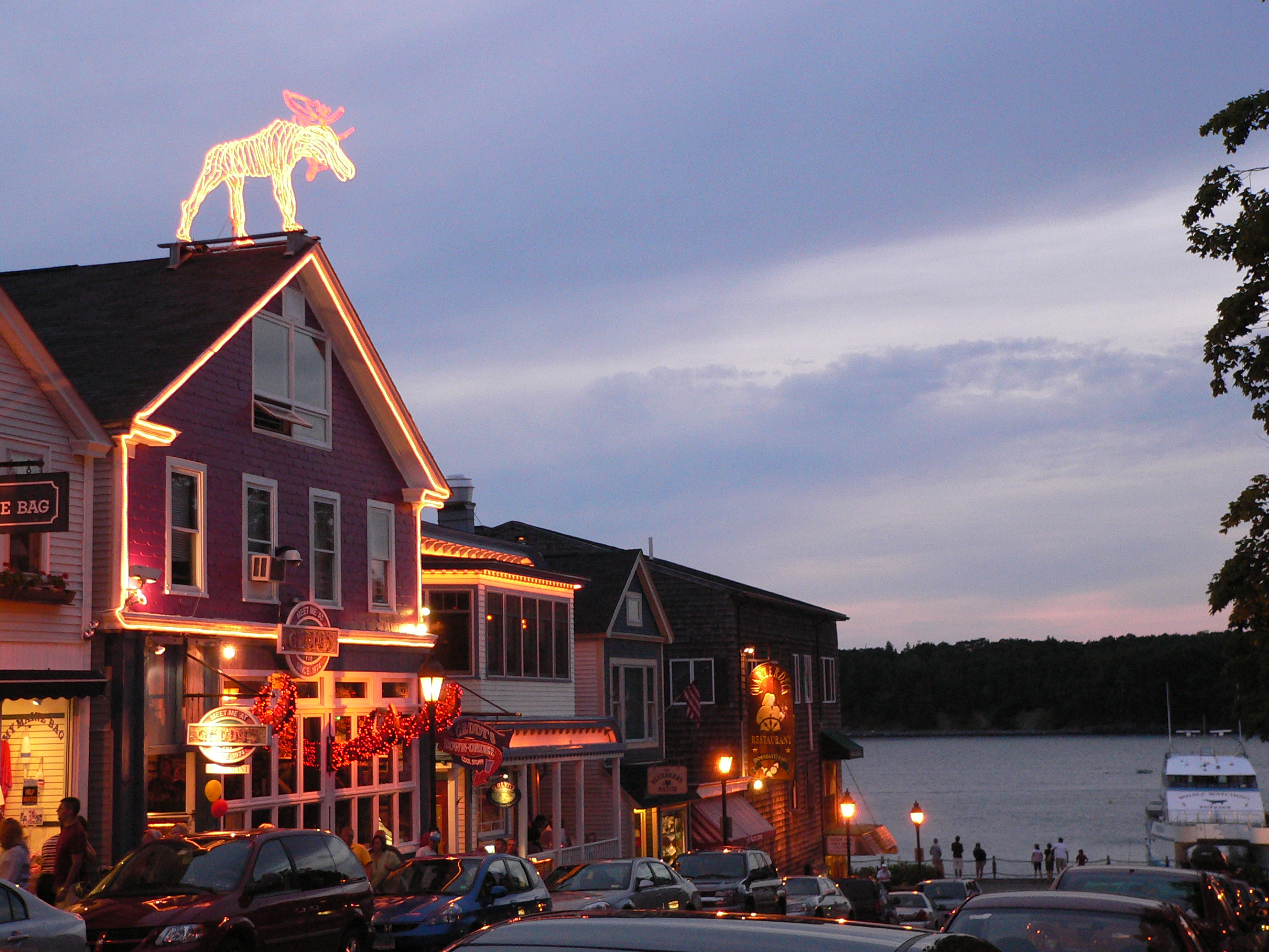 Bar Harbor Bag