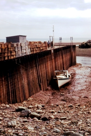 low tide