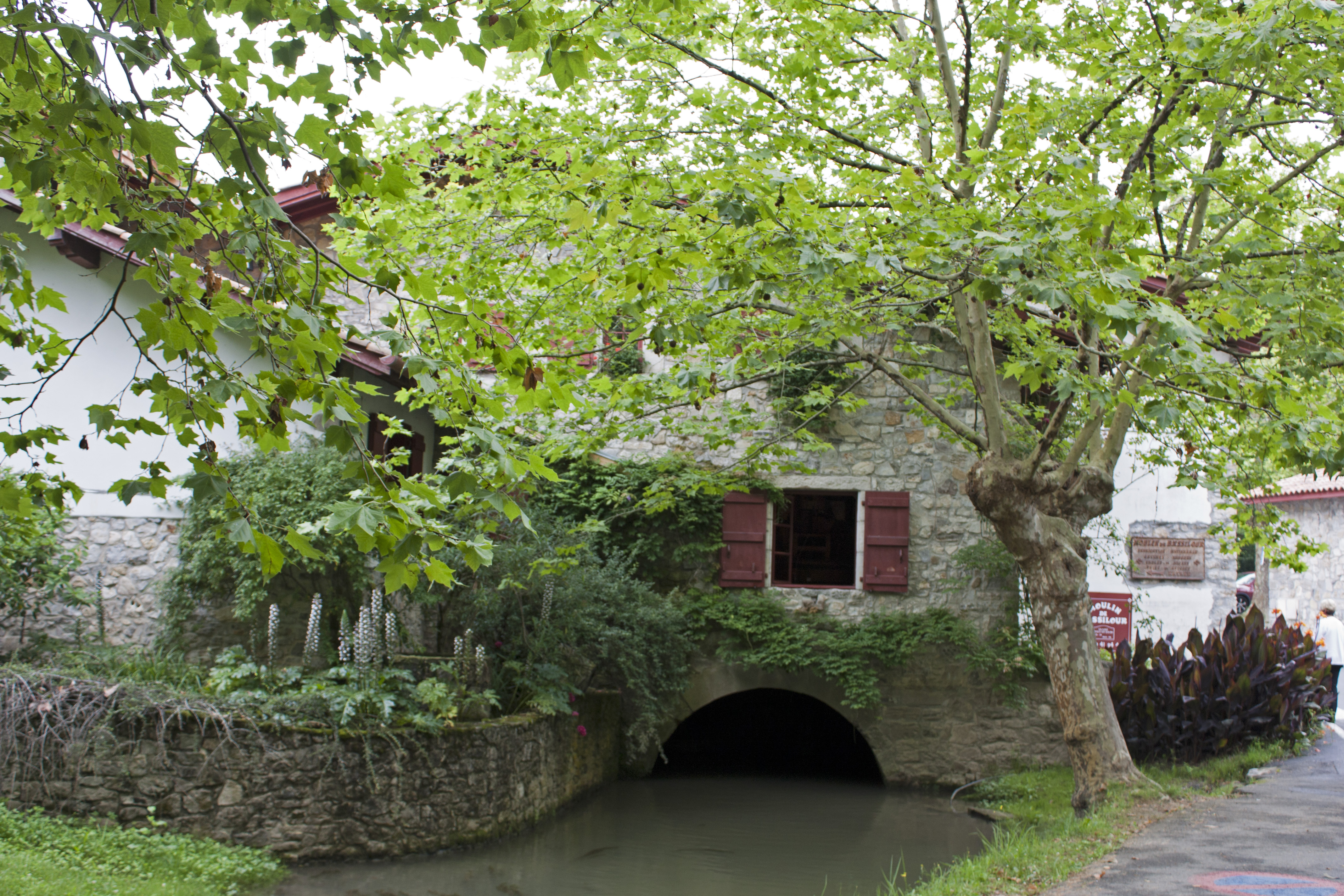 Filebidart Moulin De Bassilour Bief De Lémissaire 20120710