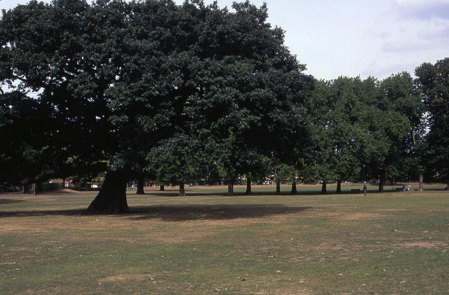 File:Bruce Castle Park - geograph.org.uk - 293923.jpg