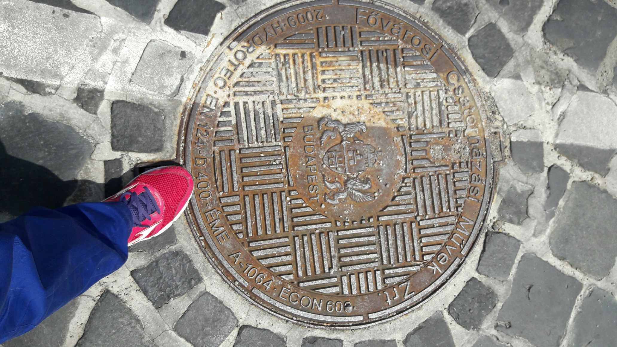 https://upload.wikimedia.org/wikipedia/commons/c/cf/Budapest_manhole.jpg