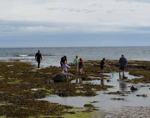 File:Coastal rocks at Collith Hole, Beadnell - geograph.org.uk - 1998039.jpg