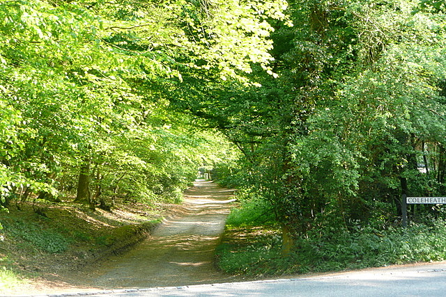 File:Coleheath Bottom - geograph.org.uk - 2401310.jpg