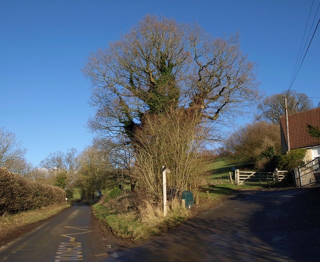 Cotswold Way at Horton Hill - geograph.org.uk - 1658127