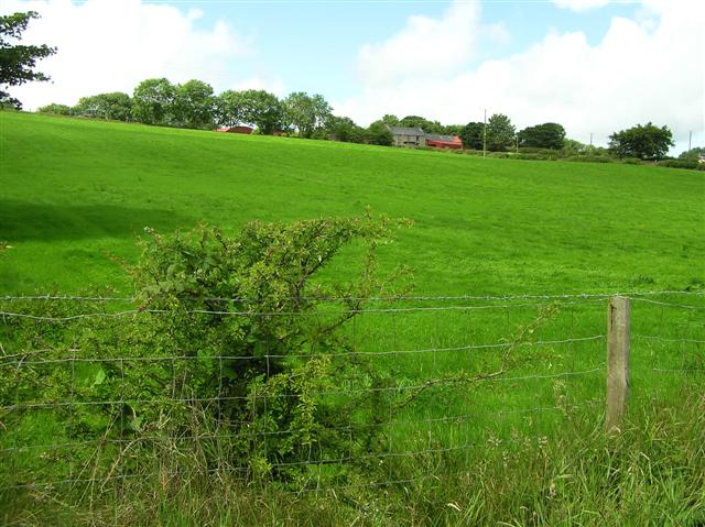 File:Duneany Townland - geograph.org.uk - 877170.jpg