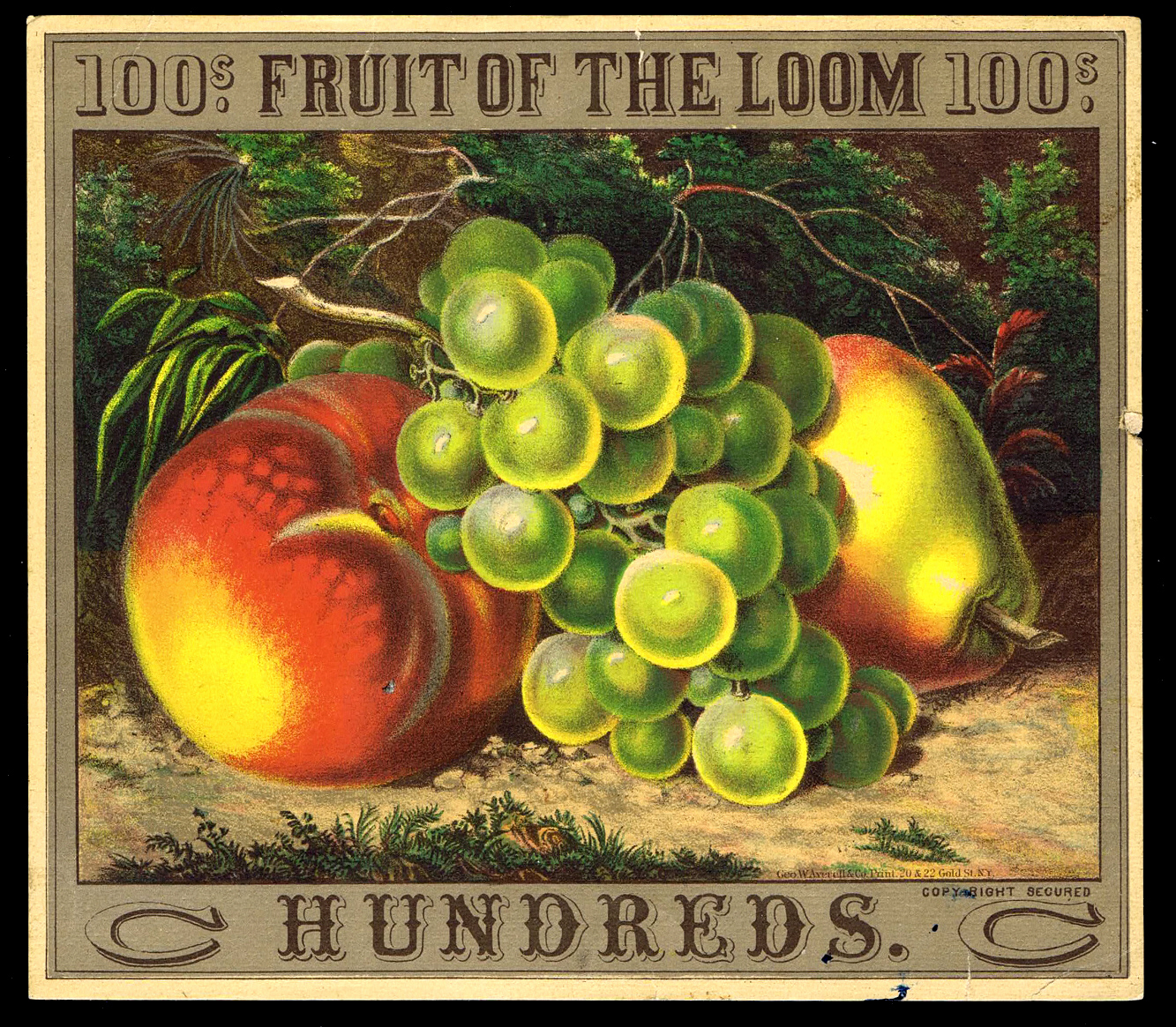 Fruit of the Loom - Wikipedia