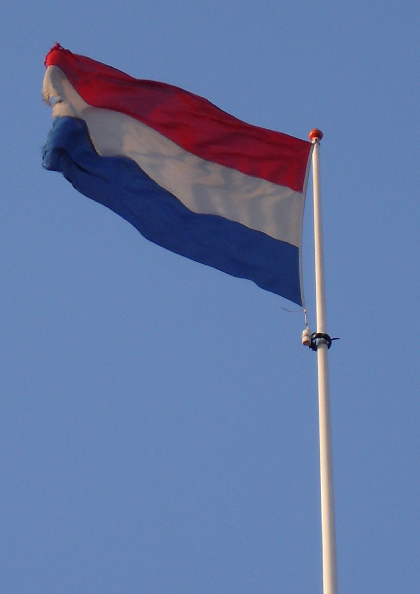 File Flag Of The Netherlands JPG Wikimedia Commons   Flag Of The Netherlands.JPG