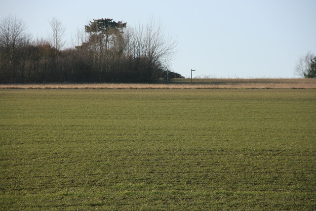 Footpath signpost on the horizon, Lullingstone Country Park - geograph.org.uk - 1734661