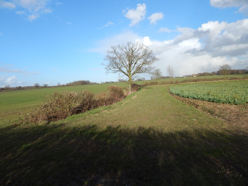 File:Footpath to Pitches Mount - geograph.org.uk - 3871812.jpg