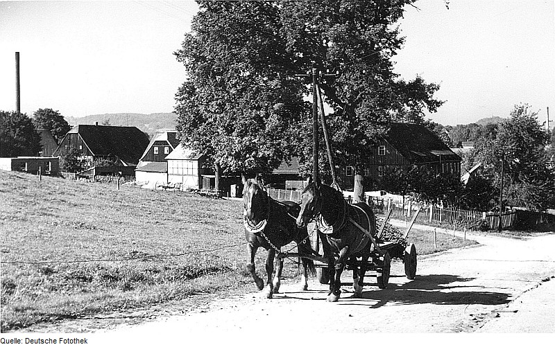 File:Fotothek df rp-v 0050001 Seifhennersdorf. Ehem. Gut, Oststraße 3 (alte Nr. 719).jpg