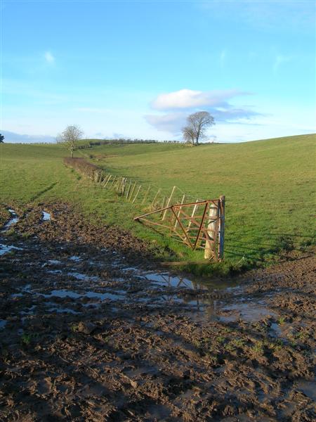 File:Glorious Mud - geograph.org.uk - 615295.jpg