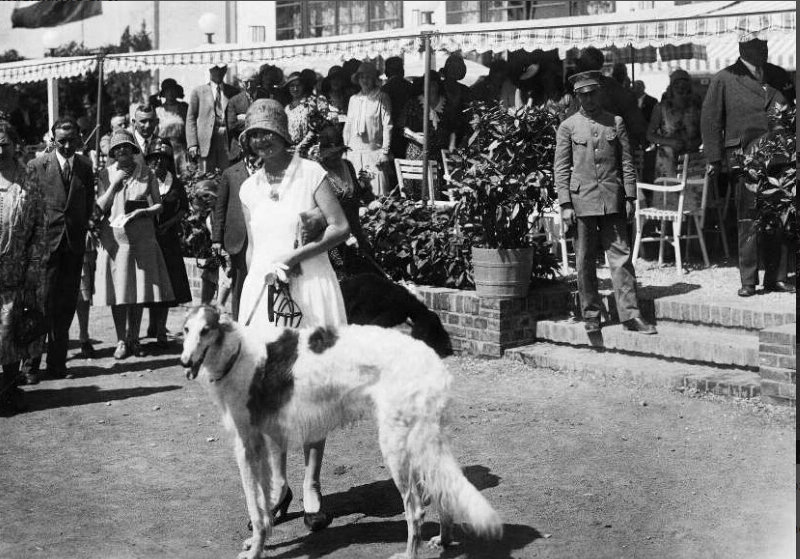 File:Internationale Pelzfachausstellung Leipzig 1930, Besucherin.jpg