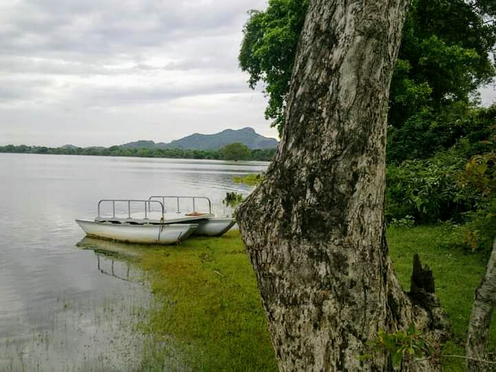 File:Kandalama lake side.jpg