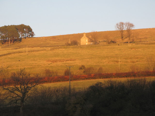 File:Late afternoon sun on the slopes of West Allen Dale - geograph.org.uk - 704915.jpg