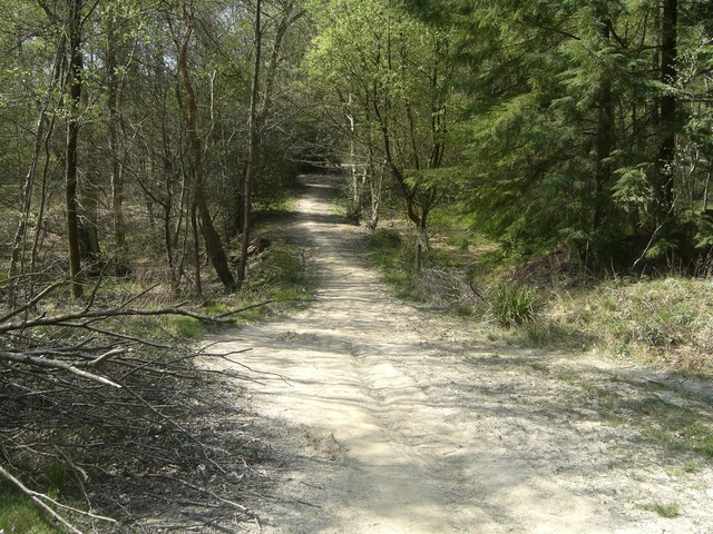 File:Lily Beds Dam - geograph.org.uk - 406564.jpg