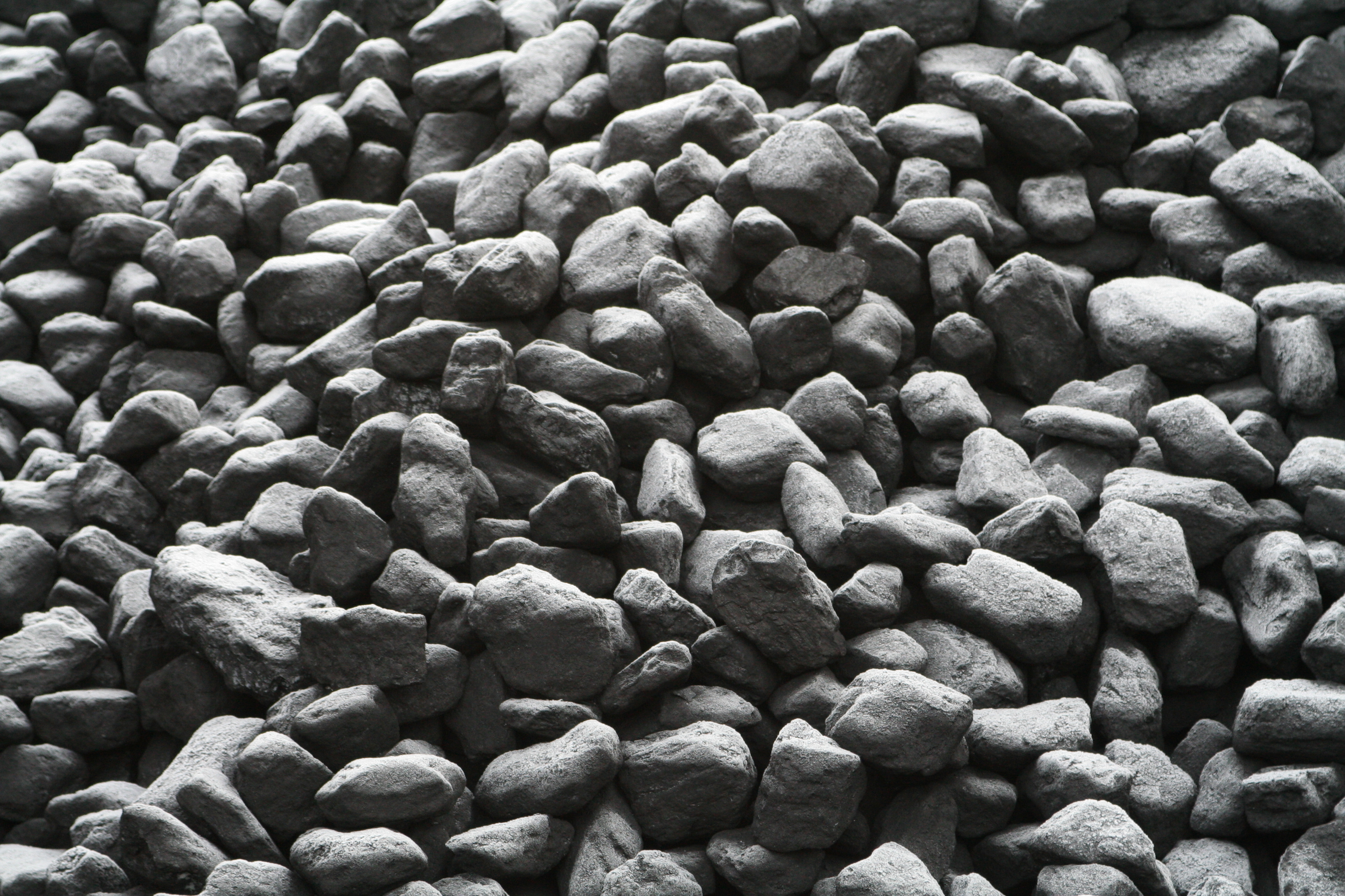 Coal Connoisseur: The Importer's Perspective