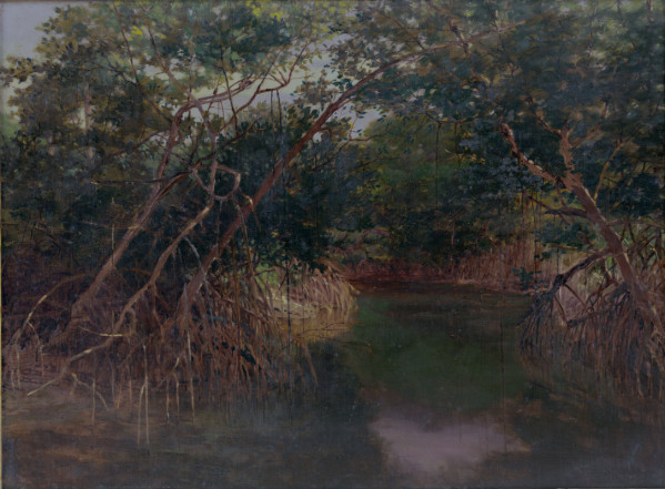 File:Mangrove Swamp Wikstrom 1902.jpg