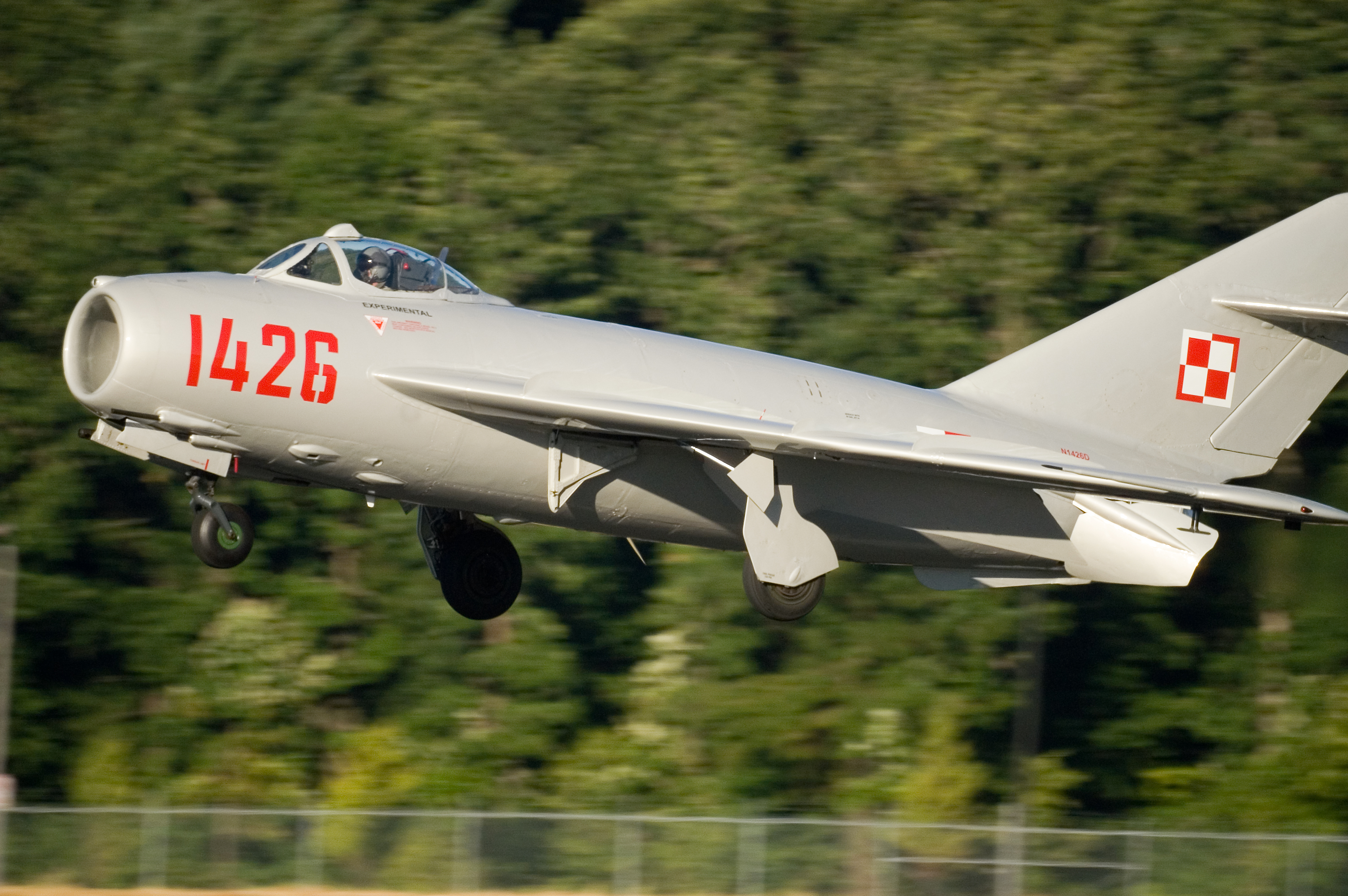 MiG-17_landing_by_StuSeeger.jpeg