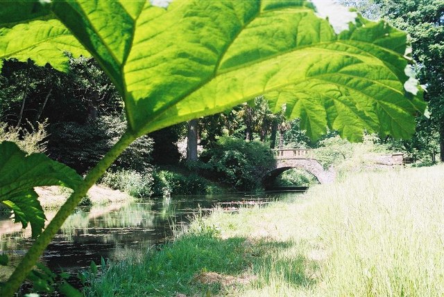 Minterne Gardens, alongside the Cerne - geograph.org.uk - 518657